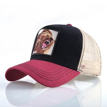 Load image into Gallery viewer, 8 Kinds of embroidery animal Baseball Caps